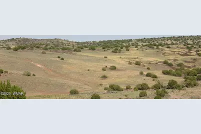 Tbd Cr 212-08-001E, Concho, AZ 85924 - Photo 5