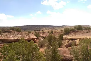 Tbd Cr 212-08-001E, Concho, AZ 85924 - Photo 1