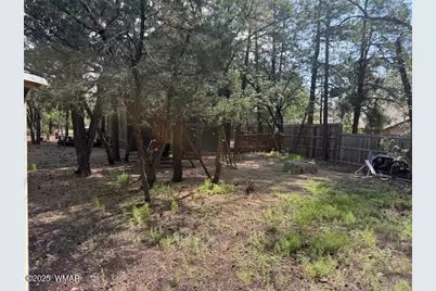 2832 View Way, Lakeside, AZ 85929 - Photo 45