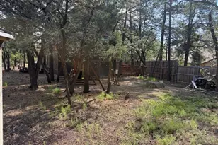 2832 View Way, Lakeside, AZ 85929 - Photo 45