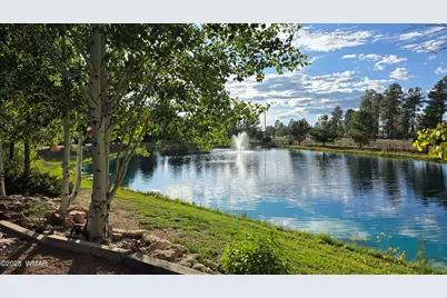 2274 Water N Hole Road, Overgaard, AZ 85933 - Photo 39