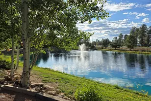 2274 Water'n Hole Rd, Overgaard, AZ 85933 - Photo 39