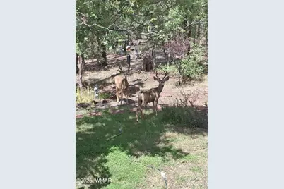 950 E Osprey Lane, Pinetop, AZ 85935 - Photo 43