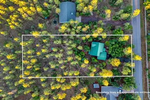 950 E Osprey Ln, Pinetop, AZ 85935 - Photo 37