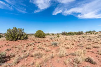 34494 Sr 180A, Concho, AZ 85924 - Photo 17