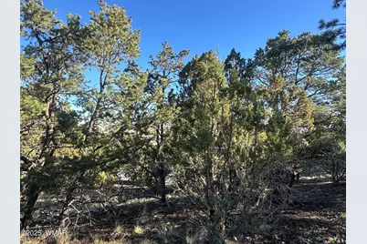 1665 W Valley Vista Drive, Eagar, AZ 85925 - Photo 3