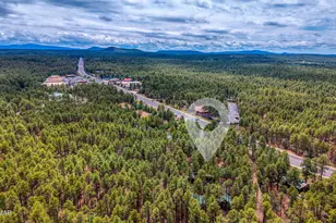 372 W White Mountain Blvd, Lakeside, AZ 85929 - Photo 39