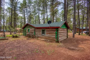 372 W White Mountain Blvd, Lakeside, AZ 85929 - Photo 5