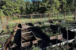 4800 W Tatanka Loop, Show Low, AZ 85901 - Photo 33