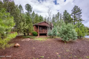 4800 W Tatanka Loop, Show Low, AZ 85901 - Photo 3