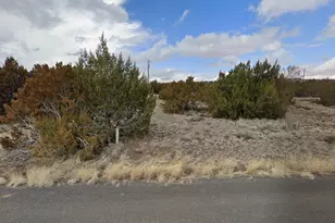 137 Frontage Rd, Concho, AZ 85924 - Photo 1