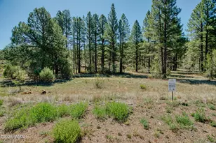 4640 West Tatanka Lp, Show Low, AZ 85901 - Photo 41