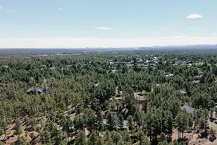 4646 W Tatanka Loop, Show Low, AZ 85901 - Photo 43