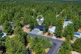 3030 W Young, Show Low, AZ 85901 - Photo 29