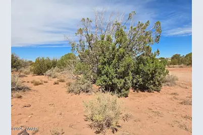 4012 Colt Road, Snowflake, AZ 85937 - Photo 9