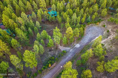 7 Eric Lane, Alpine, AZ 85920 - Photo 13