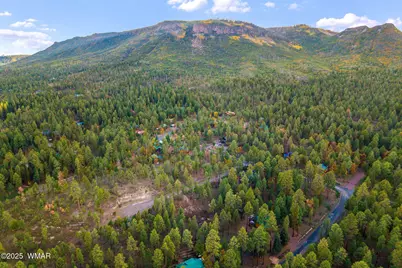 7 Eric Lane, Alpine, AZ 85920 - Photo 15