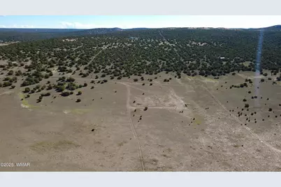 7 N Cr 8171, Concho, AZ 85924 - Photo 15