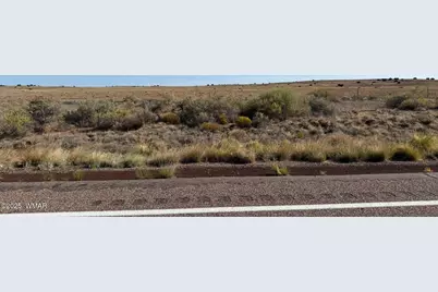 0 US Highway 180, Unit Lot 9C #Lot 9C, Concho, AZ 85924 - Photo 5