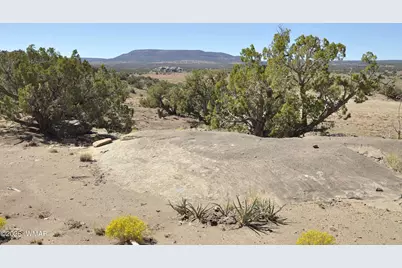 32 N8429, Concho, AZ 85924 - Photo 19