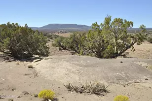 32 N8429, Concho, AZ 85924 - Photo 19