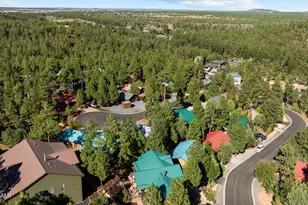 2680 S Marshalls Run, Show Low, AZ 85901 - Photo 29