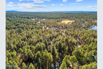 625 E Woodland Lake Road, Pinetop, AZ 85935 - Photo 59