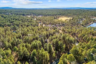 625 E Woodland Lake Rd, Pinetop, AZ 85935 - Photo 59