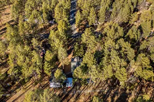 625 E Woodland Lake Rd, Pinetop, AZ 85935 - Photo 61