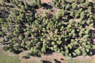 2651 Alisa Ln, Lakeside, AZ 85929 - Photo 1