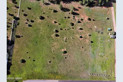 2651 Alisa Lane, Lakeside, AZ 85929 - Photo 3