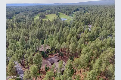 3680 Woodpecker Lane, Pinetop, AZ 85935 - Photo 3