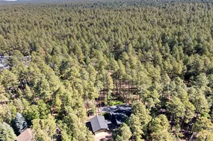 3680 Woodpecker Ln, Pinetop, AZ 85935 - Photo 37