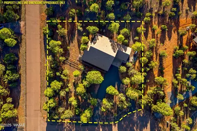 2758 Jaguar Circle, Overgaard, AZ 85933 - Photo 43