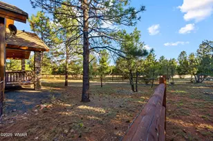 2758 Jaguar Cir, Overgaard, AZ 85933 - Photo 33