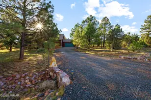 2758 Jaguar Cir, Overgaard, AZ 85933 - Photo 41