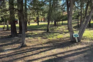 5003 Winter Hawk Ct, Lakeside, AZ 85929 - Photo 1