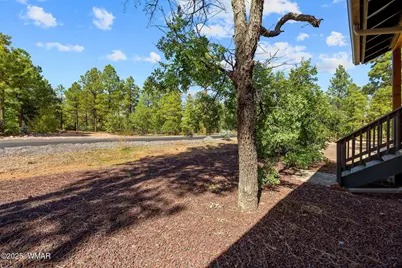 5898 Apollo Way, Lakeside, AZ 85929 - Photo 21