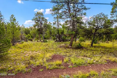 1909 Chevelon Road, Heber, AZ 85928 - Photo 13