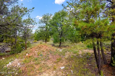 1909 Chevelon Road, Heber, AZ 85928 - Photo 15