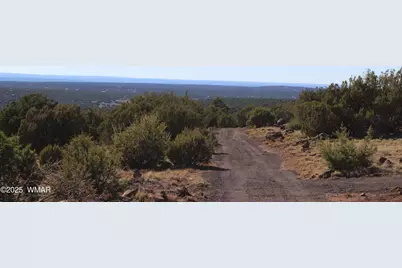 6 County Road 8052, Concho, AZ 85924 - Photo 17