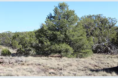 6 County Road 8052, Concho, AZ 85924 - Photo 15