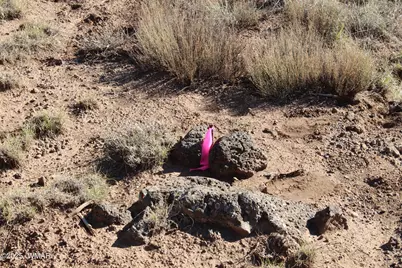 6 County Road 8052, Concho, AZ 85924 - Photo 7