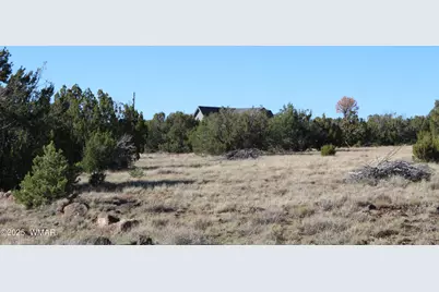 6 County Road 8052, Concho, AZ 85924 - Photo 19