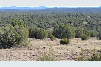 6 County Road 8052, Concho, AZ 85924 - Photo 11