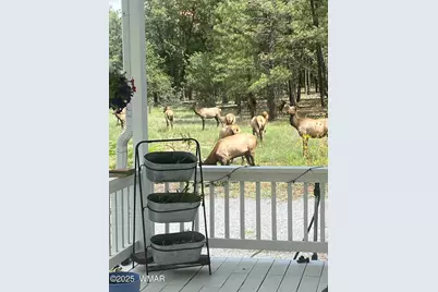 2865 Penney Lane, Lakeside, AZ 85929 - Photo 61