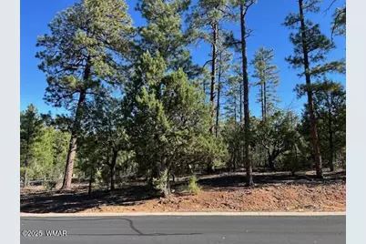 1901 S Little Creek Court, Show Low, AZ 85901 - Photo 1