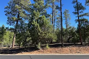 1901 S Little Creek Ct, Show Low, AZ 85901 - Photo 1