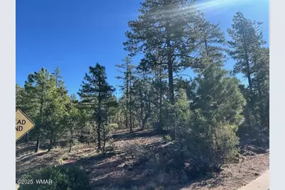 1901 S Little Creek Court, Show Low, AZ 85901 - Photo 3