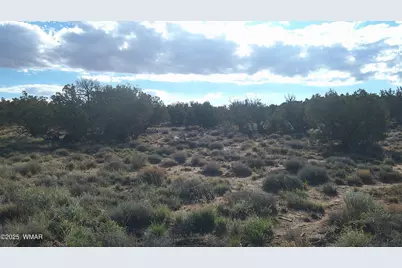 4123 W Juniper Road, Snowflake, AZ 85937 - Photo 21